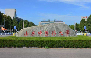 山东中医药大学