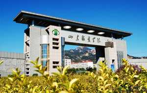 山东服装职业学院